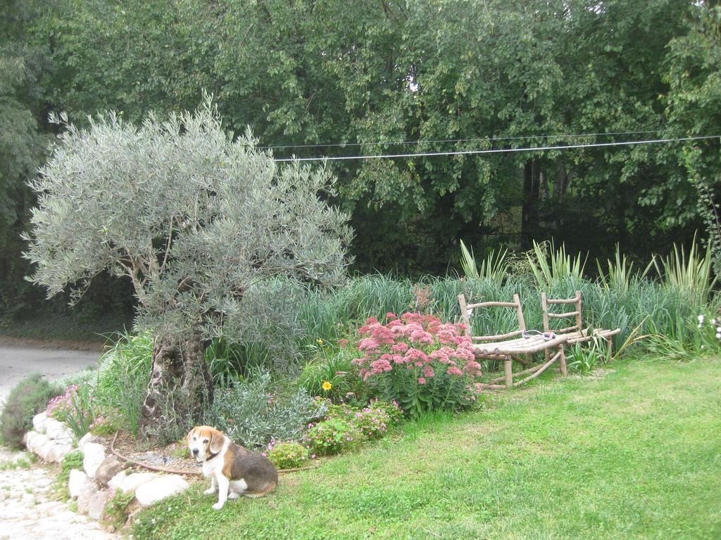 Agriturismo Campagnoletto Cavriana Eksteriør billede