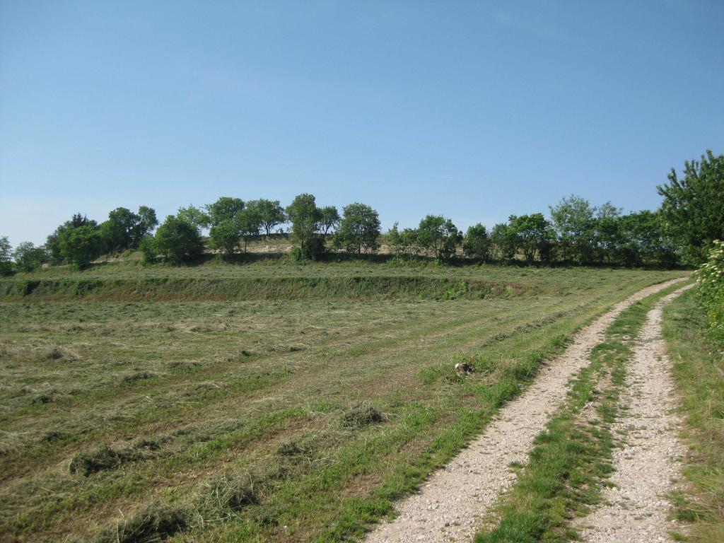Agriturismo Campagnoletto Cavriana Værelse billede