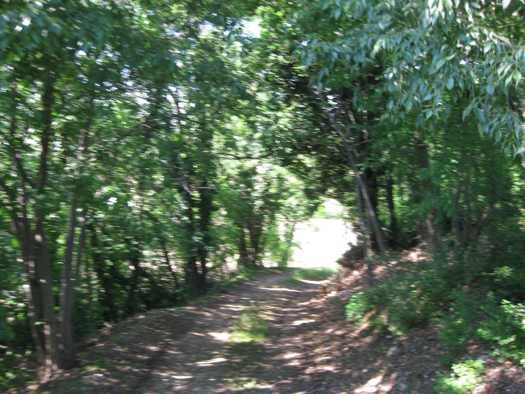 Agriturismo Campagnoletto Cavriana Værelse billede