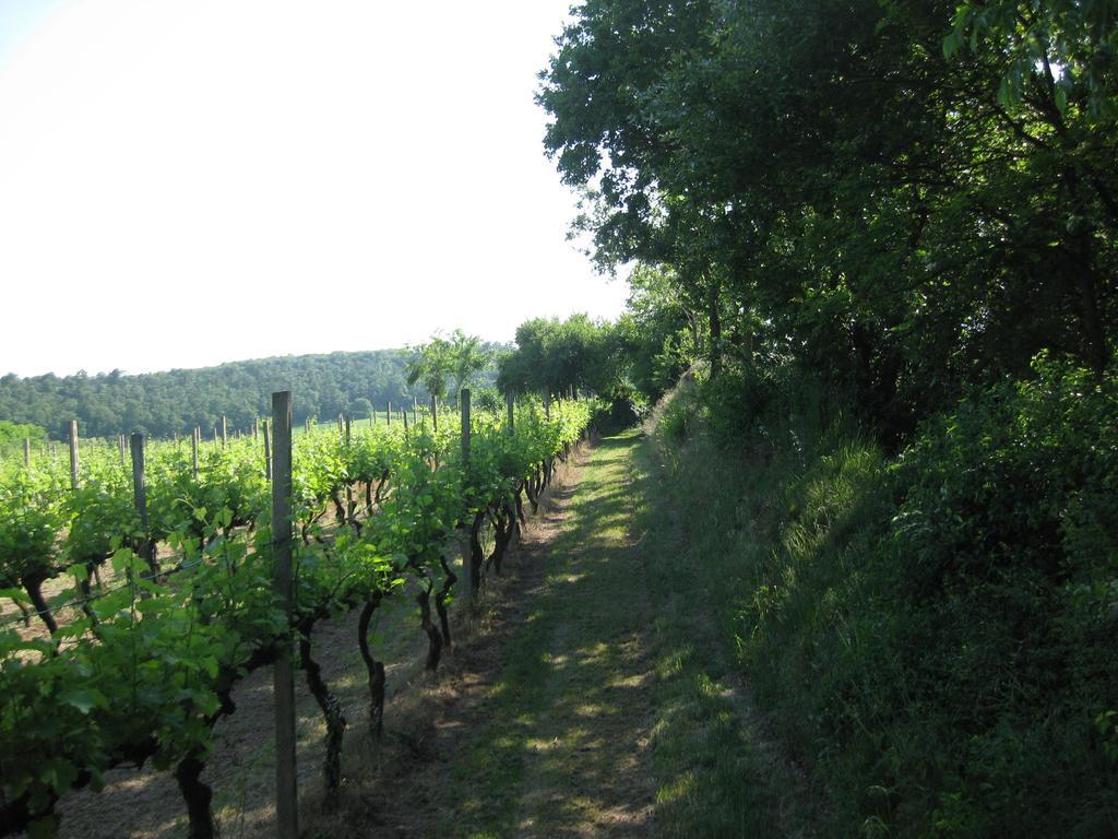 Agriturismo Campagnoletto Cavriana Værelse billede