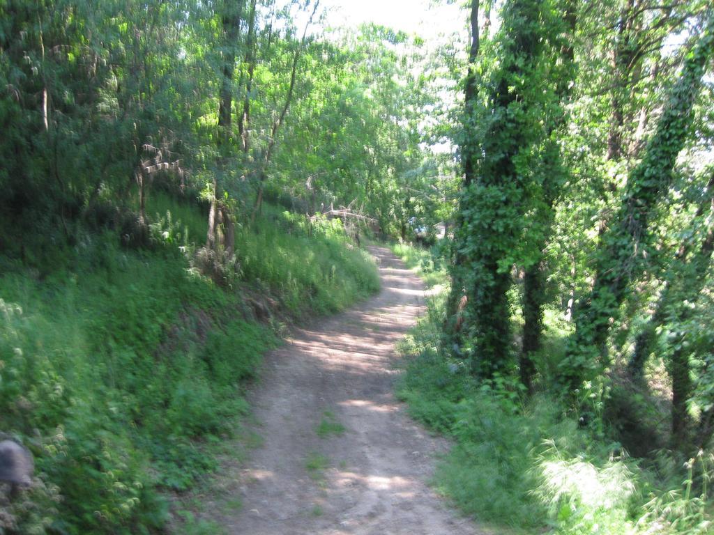 Agriturismo Campagnoletto Cavriana Værelse billede
