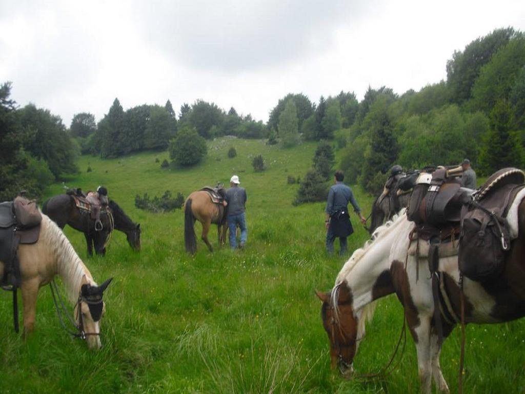 Agriturismo Campagnoletto Cavriana Eksteriør billede