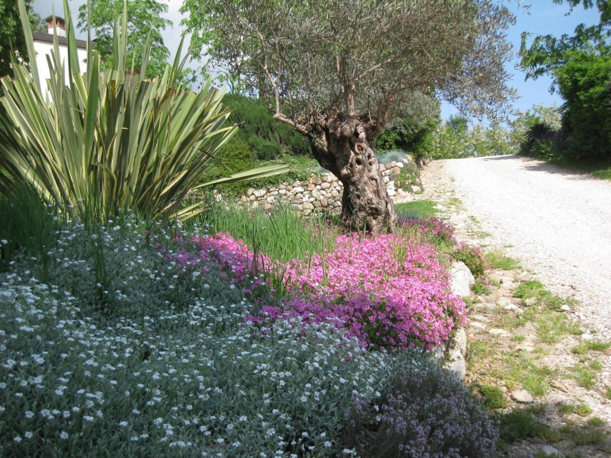 Agriturismo Campagnoletto Cavriana Eksteriør billede